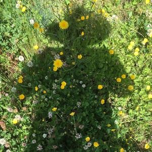 Meet your Posher, Jeni